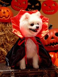 万圣节红黑色吸血鬼斗篷、宠物服装 - 彩色 - 查看 3