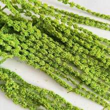 1/4束多色可选人造悬挂式米粒珍珠干花花束，绿色植物，30.7英寸，DIY爱好者必备，适用于婚礼装饰、酒店装饰、展厅装饰、客厅、卧室、办公室家居装饰、复活节装饰、圣诞派对插花、春季装饰，四季皆宜。 - 彩色 - 查看 13