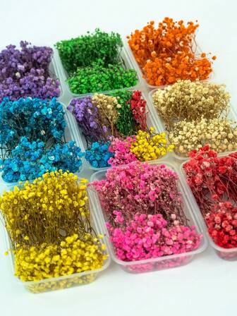 25/50/100/300Pcs Mini Baby's Breath Flowers And Other Dried Flowers - For Resin Mold Art Craft, Ivory White Flowers Bouquet For Hair Accessory, Wedding Wreath, Table Vase, Home Decor