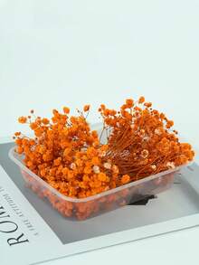 25/50/100/300 piezas Flores de Nube de Bebé y otras flores secas - Para moldes de resina, artesanía, ramos de flores blancas marfil para accesorios para el cabello, coronas de boda, jarrones de mesa, decoración del hogar - Multicolor - Ver 55