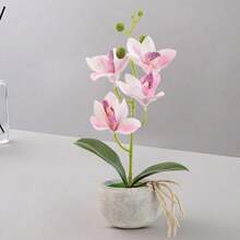 1 件人造蝴蝶兰盆栽，情人节、生日毕业礼物 - 白色 - 查看 13