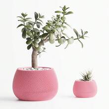 ORIZZONTE Vaso decorativo moderno con texture a torsione unica– Design Geometrico per Piante, Cactus, Bonsai – Idea Regalo Casa/Ufficio – Disponibile in 2 Misure – 100% Made in Italy, Spedizione dall'Italia - Rosa - Visualizzare 3