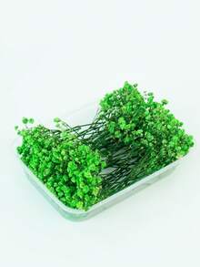 25/50/100/300 piezas Flores de Nube de Bebé y otras flores secas - Para moldes de resina, artesanía, ramos de flores blancas marfil para accesorios para el cabello, coronas de boda, jarrones de mesa, decoración del hogar - Multicolor - Ver 45