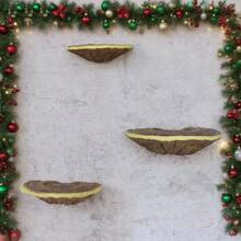 Juego de estantes de almacenamiento de Lingzhi de resina (3 piezas, estante colgante de pared de estilo artístico decorativo de Lingzhi, adecuado para contenedores de vidrio en el dormitorio, soporte suspendido para decoración de pared en rincones, tema natural al aire libre, decoración de festivales en paredes, puede sostener artículos, adecuado para geckos y mascotas trepadoras, decoración de plantas en miniatura de hongos de jardín al aire libre)