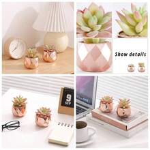 Artificial Faux Succulents In Pots, Gold Plants Women Desk, Small Realistic Faux Succulents Home Office Accessories Window Sill Bathroom Bedroom, Gold - Gold-2 - 查看 1
