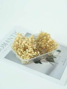 25/50/100/300 piezas Flores de Nube de Bebé y otras flores secas - Para moldes de resina, artesanía, ramos de flores blancas marfil para accesorios para el cabello, coronas de boda, jarrones de mesa, decoración del hogar - Multicolor - Ver 6