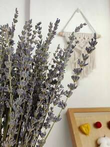 25/50/100/200+枝干薰衣草花束，芬芳的干薰衣草束，适合淋浴、婚礼、家居花瓶装饰、工艺品、芳香疗法和香薰 - 彩色 - 查看 10