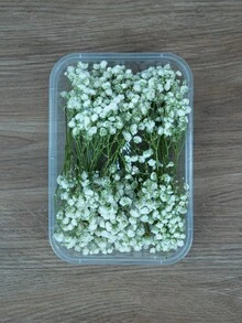 25/50/100/300 piezas Flores de Nube de Bebé y otras flores secas - Para moldes de resina, artesanía, ramos de flores blancas marfil para accesorios para el cabello, coronas de boda, jarrones de mesa, decoración del hogar - Multicolor - Ver 25