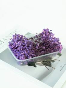 25/50/100/300 piezas Flores de Nube de Bebé y otras flores secas - Para moldes de resina, artesanía, ramos de flores blancas marfil para accesorios para el cabello, coronas de boda, jarrones de mesa, decoración del hogar - Multicolor - Ver 18