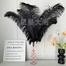 5pcs/Set Black Artificial Ostrich Feather Bouquet, Decor Accessory For Hats, Clothing, Wedding DIY - Multicolor - View 5