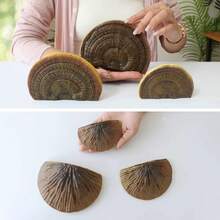 Juego de estantes de almacenamiento de Lingzhi de resina (3 piezas, estante colgante de pared de estilo artístico decorativo de Lingzhi, adecuado para contenedores de vidrio en el dormitorio, soporte suspendido para decoración de pared en rincones, tema natural al aire libre, decoración de festivales en paredes, puede sostener artículos, adecuado para geckos y mascotas trepadoras, decoración de plantas en miniatura de hongos de jardín al aire libre)