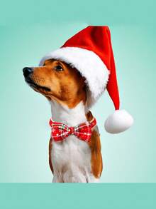 2pcs Red And Green Checkered Bow Tie Pet Tie, Exquisite And Cute Pet Decoration Accessories, Adjustable Size Christmas Tie Suitable For Pets, Very Suitable For Small And Medium-Sized Dogs And Cats, With Random Styles - Multicolor - View 10
