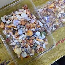 Kolorowa mieszanka piasku muszlowego - woreczek 50/100 g/200 g, 12 wyjątkowych wzorów do rękodzieła, scrapbookingu, butelek dryfujących i dekoracji akwariowych, prezentów urodzinowych i ukończenia szkoły