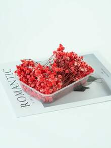 25/50/100/300 piezas Flores de Nube de Bebé y otras flores secas - Para moldes de resina, artesanía, ramos de flores blancas marfil para accesorios para el cabello, coronas de boda, jarrones de mesa, decoración del hogar - Multicolor - Ver 51