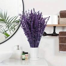 25/50/100/200+枝干薰衣草花束，芬芳的干薰衣草束，适合淋浴、婚礼、家居花瓶装饰、工艺品、芳香疗法和香薰 - 彩色 - 查看 4