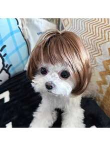 1pc Cat Headgear - Funny And Cute, Cat Hat, Photo Best Match Props - Brown - View 6