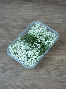 25/50/100/300 piezas Flores de Nube de Bebé y otras flores secas - Para moldes de resina, artesanía, ramos de flores blancas marfil para accesorios para el cabello, coronas de boda, jarrones de mesa, decoración del hogar - Multicolor - Ver 3