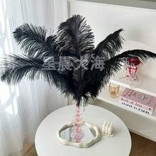 5pcs/Set Black Artificial Ostrich Feather Bouquet, Decor Accessory For Hats, Clothing, Wedding DIY - Multicolor - View 3
