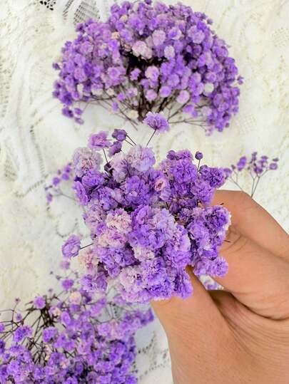 25/50/100/300 st Mini Gypsophila och andra torkade blommor - För hartsformkonst och hantverk, elfenbensvit bukett för håraccessoarer, bröllopskransar, bordsdekor, heminredning