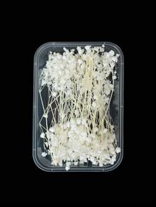 25/50/100/300 piezas Flores de Nube de Bebé y otras flores secas - Para moldes de resina, artesanía, ramos de flores blancas marfil para accesorios para el cabello, coronas de boda, jarrones de mesa, decoración del hogar - Multicolor - Ver 48