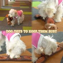 Dog Puzzle Toy, Squirrel Interactive Dog Toy With 2 Chew Balls, Squeaky Dog Toys To Keep Them Busy, Dog Treat Games For Small Puppy, Snuffle Enrichment Toy Anti Boredom, Cognitive Dogs Toy - 1 - 查看 3