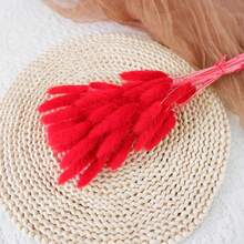 60/120件波西米亚风悬挂装饰品，蒲苇草和兔尾草干花花束，适用于婚礼、家庭聚会、DIY布置、丰收节、万圣节、圣诞节、秋季装饰