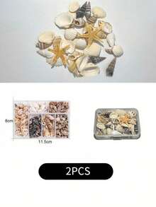 裝盒的天然貝殼和海螺混合風格的多孔封套盒,diy手工資料,魚缸裝飾 - 彩色 - 查看 12