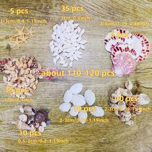 Ok. 100 szt./opakowanie muszli morskich w różnych kolorach – do samodzielnego wyrobu biżuterii, dekoracji akwarium, łazienki, świec na imprezę, dekoracji ślubnych, projektów rękodzielniczych