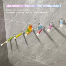 7-Color Bird Bath Perch With Suction Cup Base, Parrot Shower Perch, Window And Shower Adhesive Installation, Easy To Clean, Sturdy Installation, Comes With 1 Replacement Strap, Suitable For Smooth Surfaces - Multicolor - View 7