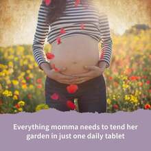 Garden Of Life Organics Prenatal Vitamin: Folate For Energy &Amp; Healthy Fetal Development, Non-Constipating Iron, Vitamin C, B6, B12, D3 – Organic, Non-GMO, Gluten-Free, Vegan, 30 Day Supply - Flavor NameA - 查看 3