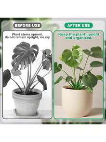 4 kẹp đỡ cây, kẹp thân cây chắc chắn, thích hợp cho cây leo - Chất liệu nhựa, dùng cho cây leo trong nhà, hỗ trợ cây trồng. - Nhiều màu - Xem 6