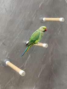 7-Color Bird Bath Perch With Suction Cup Base, Parrot Shower Perch, Window And Shower Adhesive Installation, Easy To Clean, Sturdy Installation, Comes With 1 Replacement Strap, Suitable For Smooth Surfaces - Multicolor - View 8