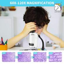 60x-120x Microscopio portátil para niños con zoom, microscopio de mano mini STEM y juguete científico, microscopio de bolsillo LED, microscopio de pequeño científico, regalo para niños y niñas de 6+ años, blanco y azul - Multicolor - Ver 8