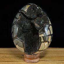 Black Turtle Shell Stone Egg Crystal Stone(Rock Crystal Has Natural Cracks, Not Damage. - Multicolor - View 13