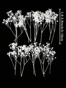25/50/100/200/300 pièces Fleurs de Gypsophile beige préservées, tiges naturelles de Fleurs de Bébé séchées, Bouquet de mariage sec