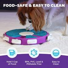 Outward Hound By Nina Ottosson Dog  Treat Puzzle Enrichment Toy, Level 3 Advanced, Purple - 1 - Xem 6