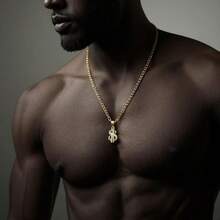 dollrinboy 1 件 14K 镀金美元符号吊坠项链，男女适用，精致不锈钢链项链，万圣节配饰礼物 - 錢 - 查看 5