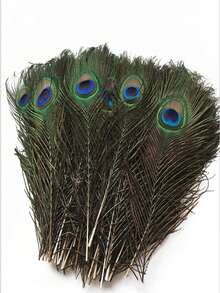 10 Stücke natürliche Pfauenfedern, Heimat-/Hochzeitsmittelpunkt DIY Federn für Tischmittelpunkte, Handwerksaccessoires, Karneval, 25-30cm
