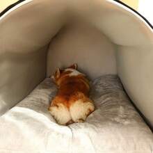 Casa cerrada para mascotas, cama cálida para perros, villa para gatos, nido para mascotas para perros y gatos en todas las estaciones