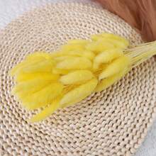 60/120件波西米亚风悬挂装饰品，蒲苇草和兔尾草干花花束，适用于婚礼、家庭聚会、DIY布置、丰收节、万圣节、圣诞节、秋季装饰