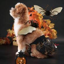 Disfraz de Halloween para perro, ropa de mascota con forma de araña, traje gracioso para cachorros, atuendo con alas de araña para fiesta, ropa navideña para perros