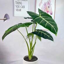 Anti-Lodging Bracket Monstera Anti-Lodging Bracket Fixer Green Plant Fixing Clip Hydroponic Flower Stem Spring Feather Gardening Flower Collection Rack