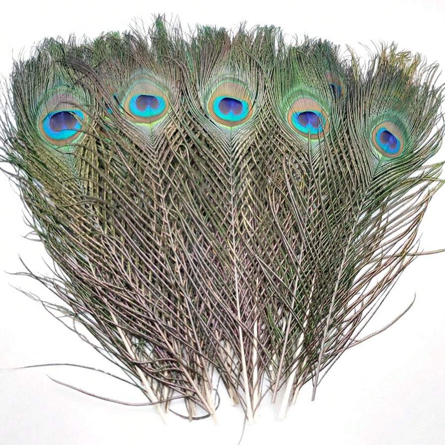 10 Stücke natürliche Pfauenfedern, Heimat-/Hochzeitsmittelpunkt DIY Federn für Tischmittelpunkte, Handwerksaccessoires, Karneval, 25-30cm