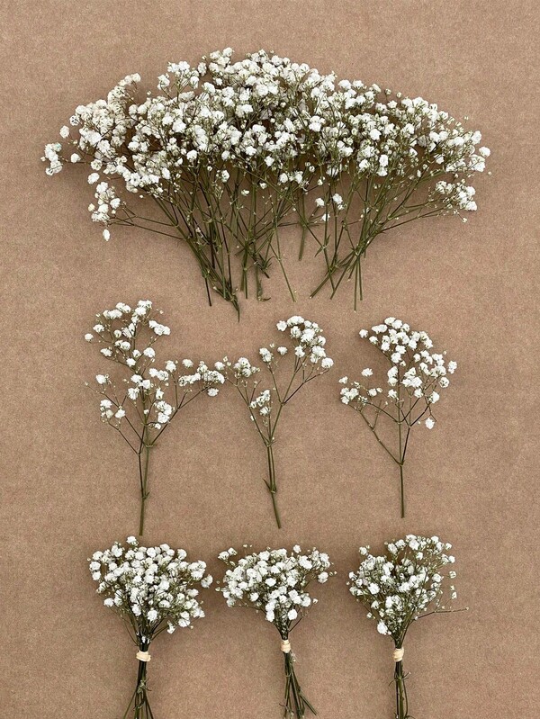 Buquê de mini flores secas brancas com 25/50/100/200/300 peças - Ideal para decoração "faça você mesmo", cartões comemorativos, casamentos, decoração de casa e escritório