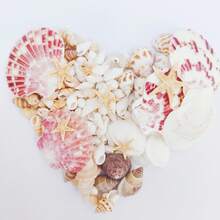 Ok. 100 szt./opakowanie muszli morskich w różnych kolorach – do samodzielnego wyrobu biżuterii, dekoracji akwarium, łazienki, świec na imprezę, dekoracji ślubnych, projektów rękodzielniczych