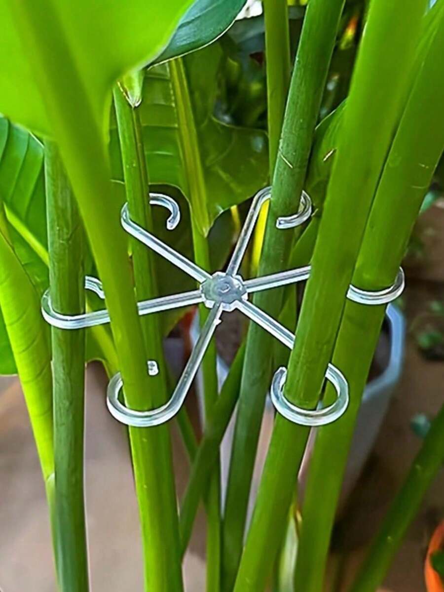 4 kẹp đỡ cây, kẹp thân cây chắc chắn, thích hợp cho cây leo - Chất liệu nhựa, dùng cho cây leo trong nhà, hỗ trợ cây trồng.