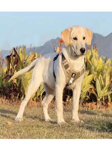 1 Set Brustgeschirr + Leine für Haustiere, reflektierendes Brustgeschirr-Weste für große Hunde, Spazierenleine, Kausprutz- und Nicht-Würge-Oxfordstoff-Material, Outdoor-Haustierzubehör