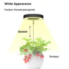 全光谱 LED 植物生长灯，室内植物 LED 生长灯，可调节植物生长照明，带 3 档定时器，全光谱，7 个亮度等级，USB 供电，非常适合幼苗和小型植物，室内植物生长灯