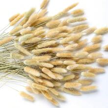 60/120件波西米亚风悬挂装饰品，蒲苇草和兔尾草干花花束，适用于婚礼、家庭聚会、DIY布置、丰收节、万圣节、圣诞节、秋季装饰