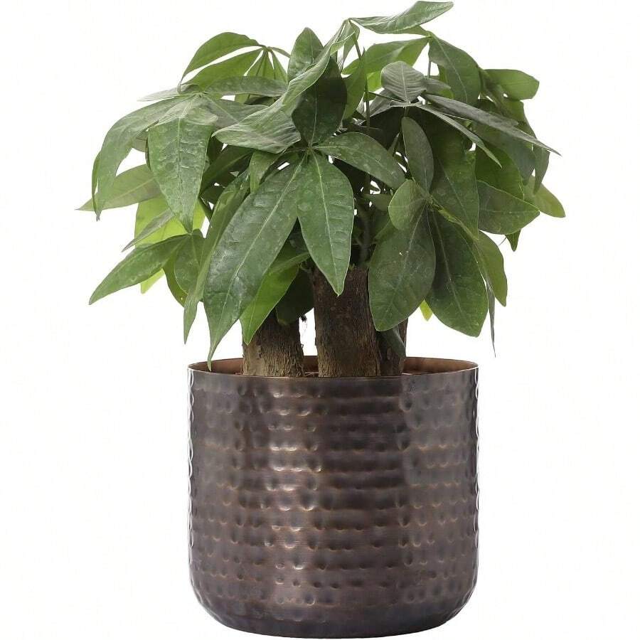 6 Inch Copper Tone Metal Plant Pot With Hammered Design, Decorative Small Succulent Planter - Handcrafted In India - Vintage Copper - View 1